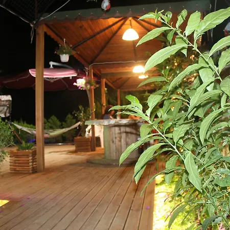 فندق Kampus 3*